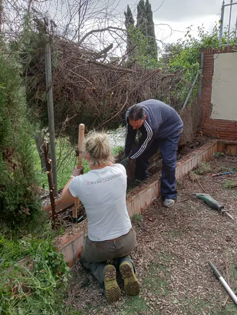 cuidado de jardines en Sevilla